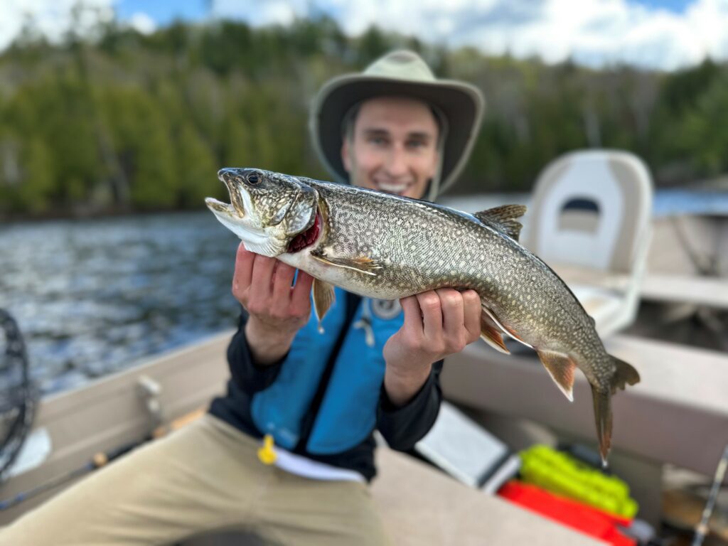 Lake Trout Charles Raymond