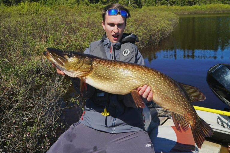 Les meilleurs leurres pour la pêche au brochet SAIL Blogue