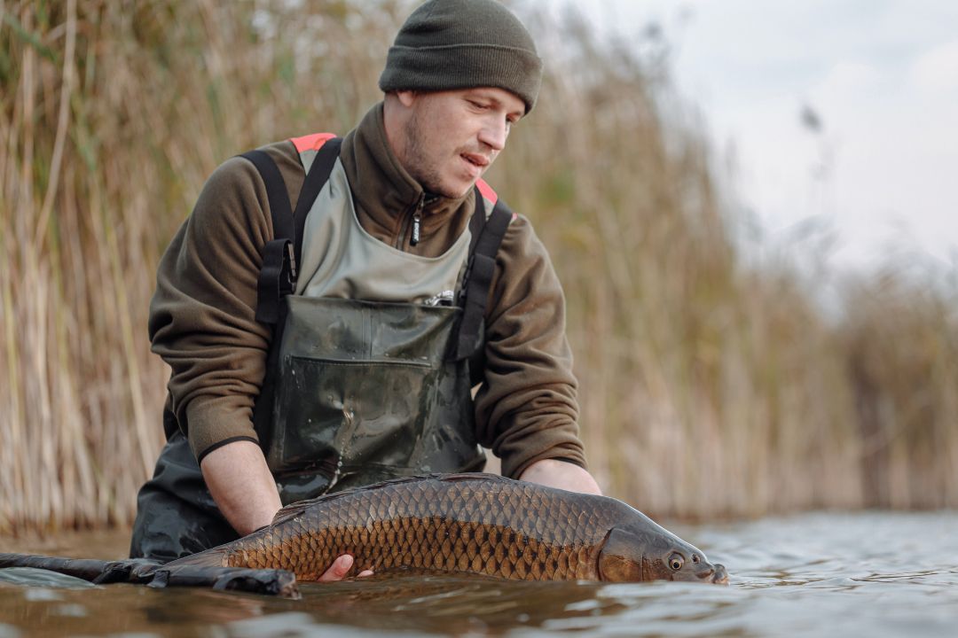 Carp fishing