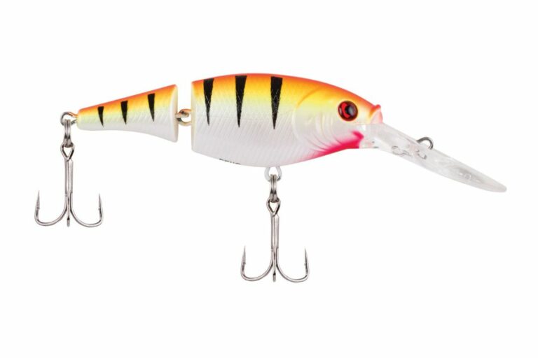 Test du leurre Rapala Ssr09bg multicolore : efficacité et polyvalence