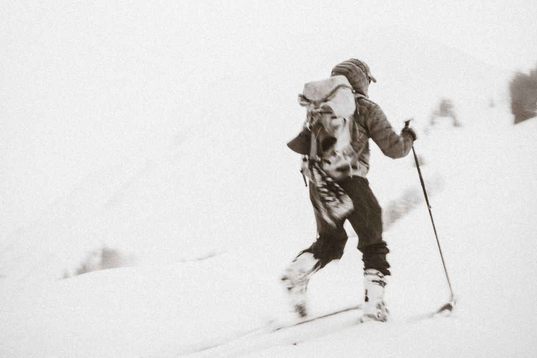 Nordic Ski