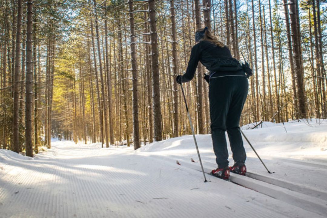 Parc Algonquin