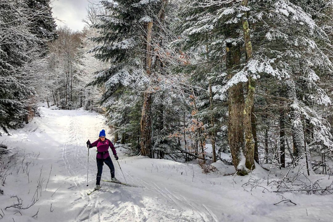 Ski de fond