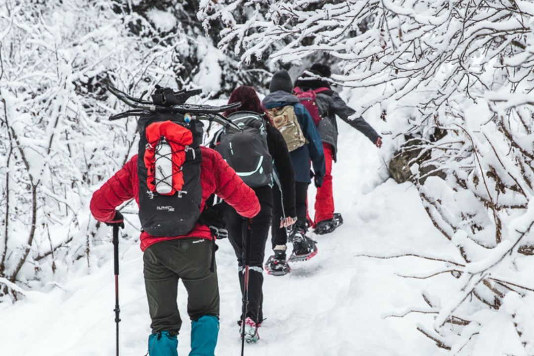 Snowshoe hiking