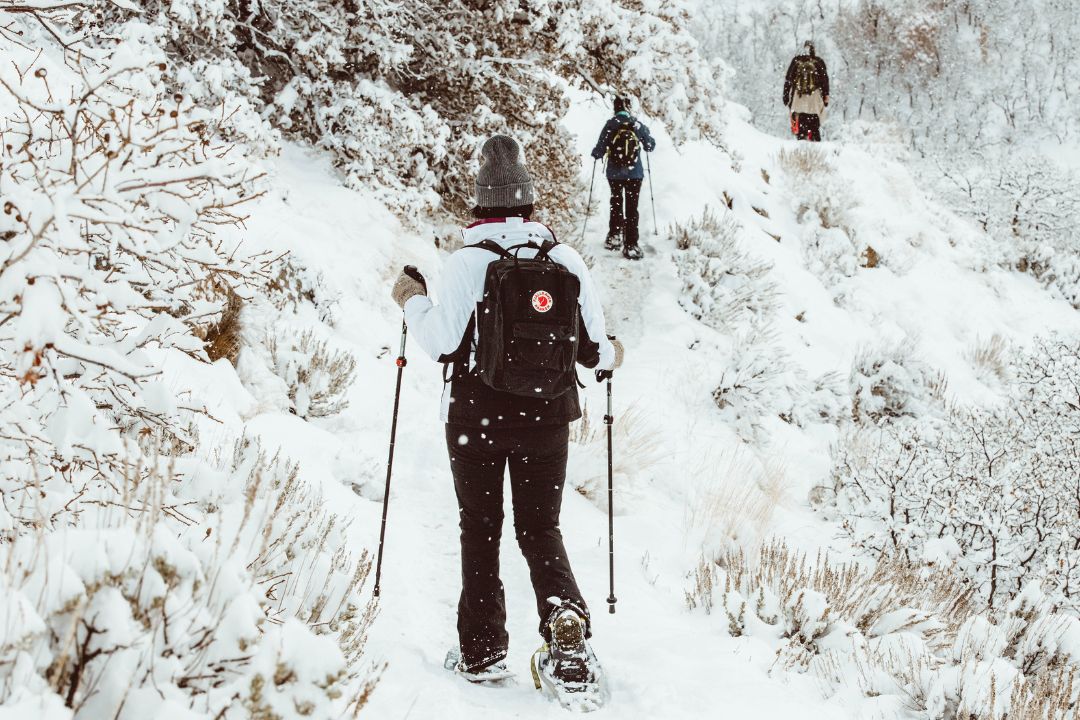 Snowshoe Hiking