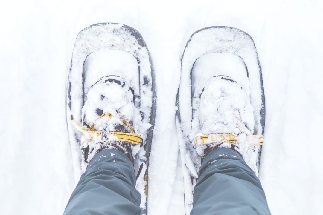 raquettes à neige