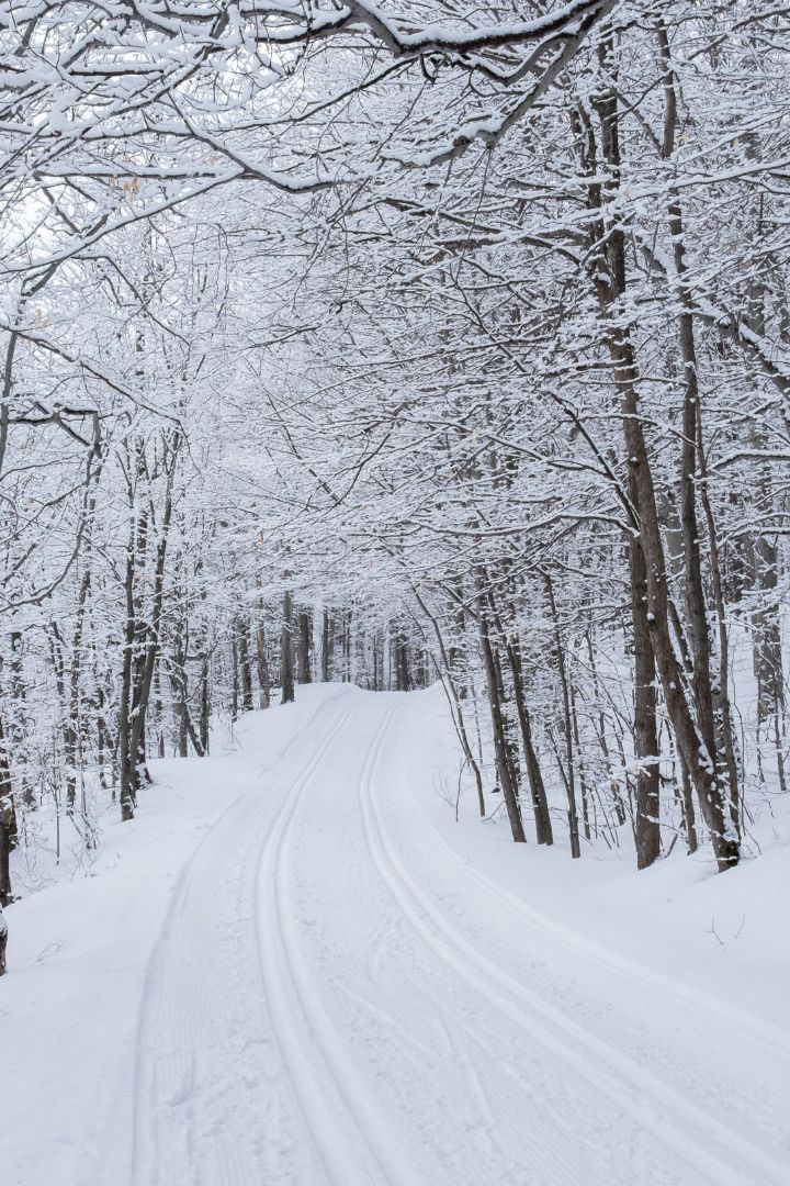 virage en descente