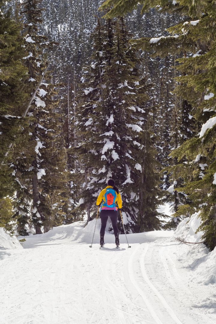 how to cross-country skiing & braking