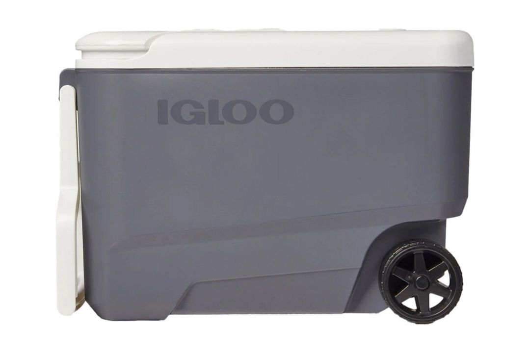 Igloo Versatemp Electric