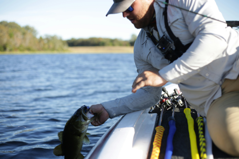 Best Bass Fishing Lures