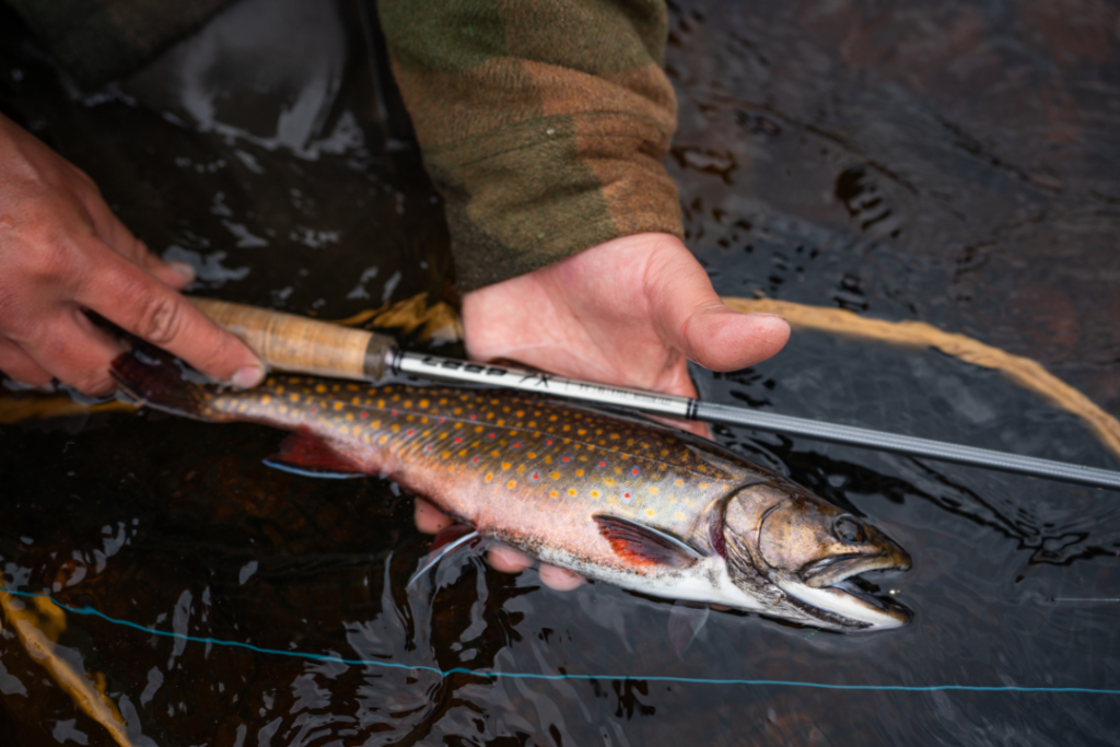 a person wearing a Hooké jacket and holding a fly rod and a landing net shows a trout caught while fly fishing