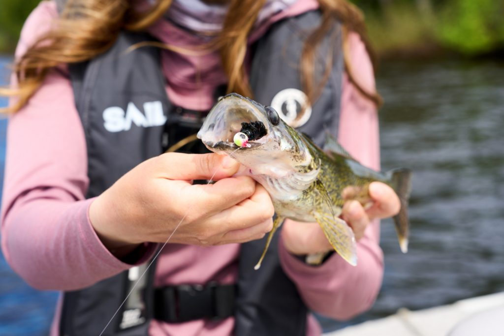 Ashley Rae holding a walleye on a fishing line with a jig during spring walleye fishing