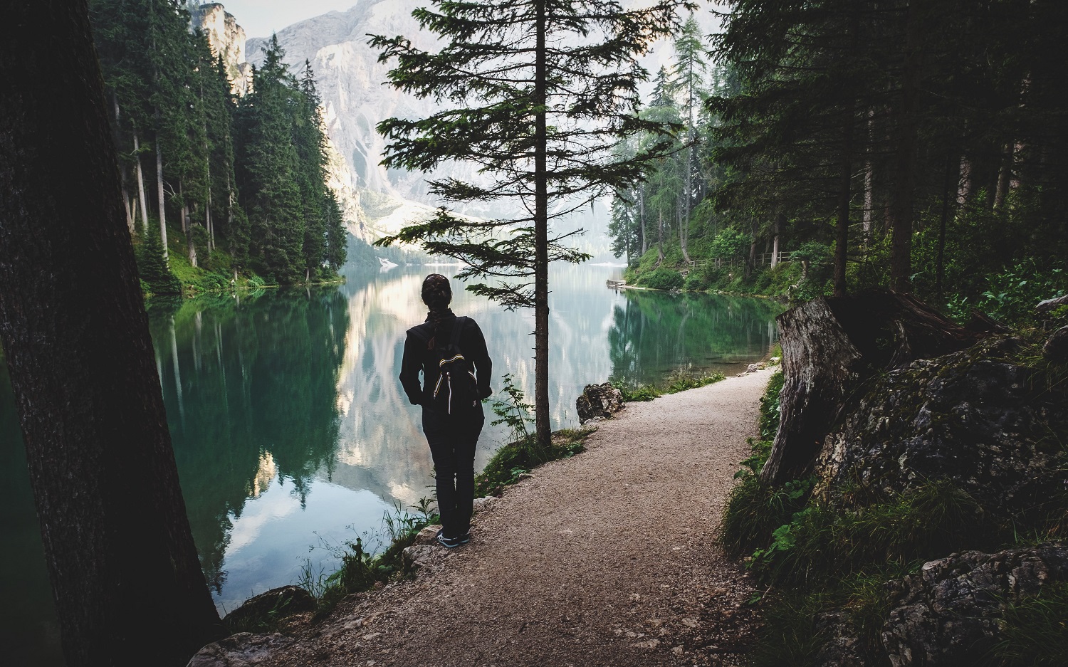 Orientation en forêt - comment choisir son GPS