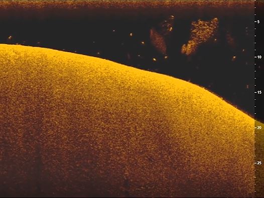 sail-peche-sonar-down-imaging