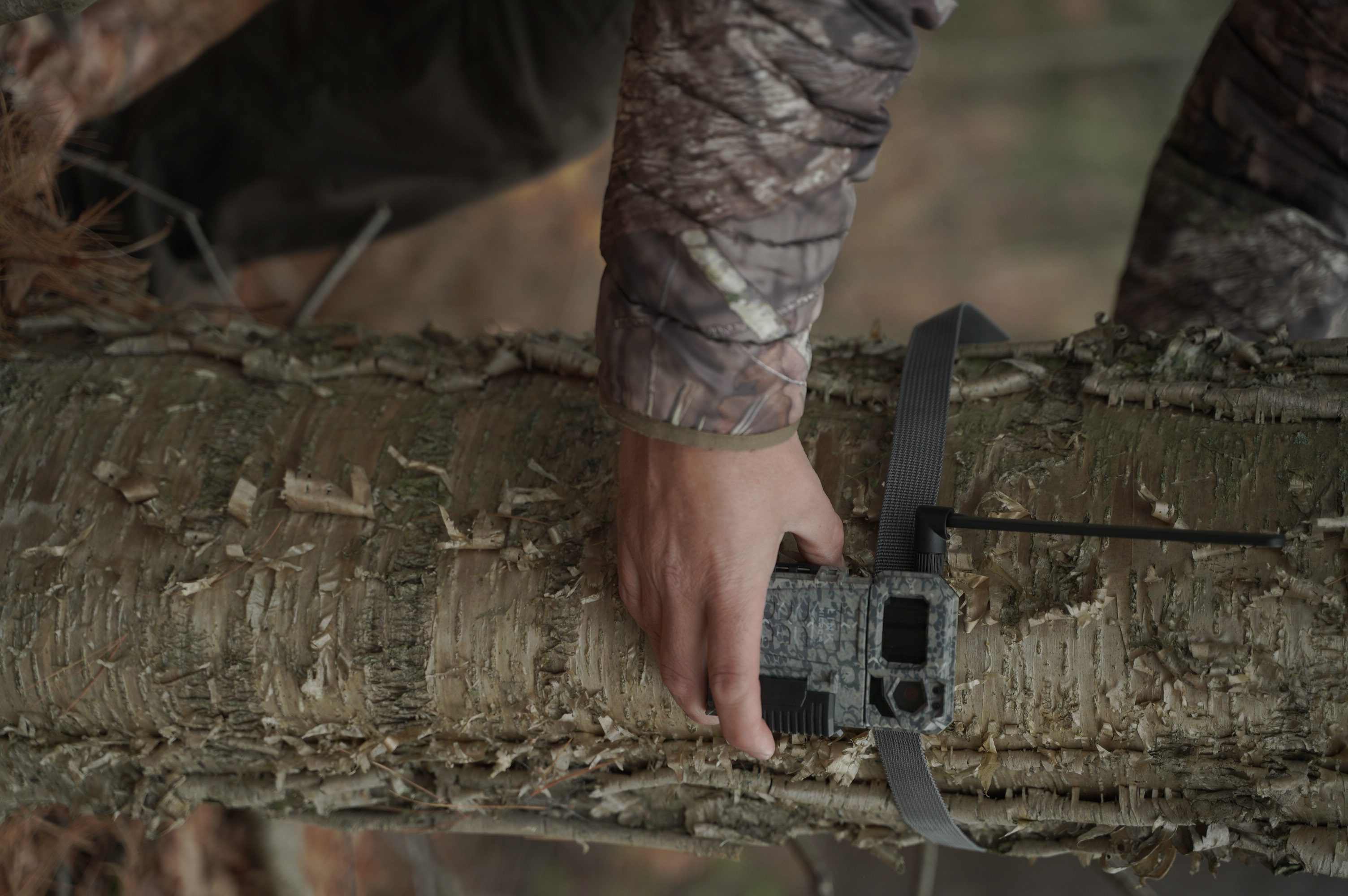 Caméra pour la chasse au chevreuil