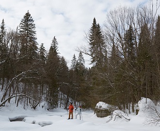 Paysage hivernal canadien