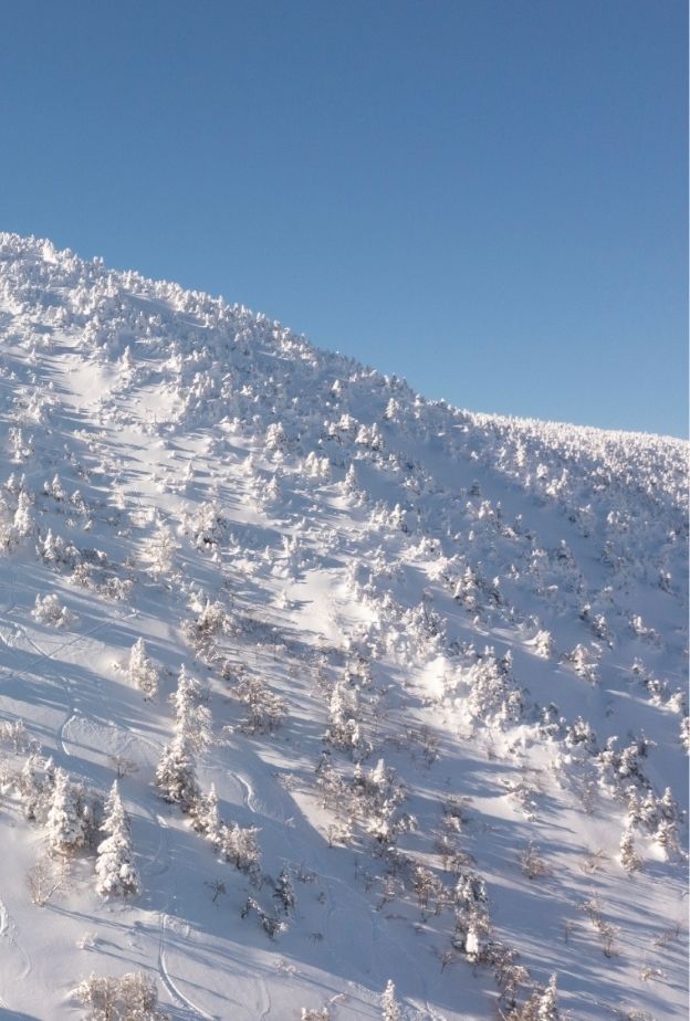 Montagne des Chic-Chocs
