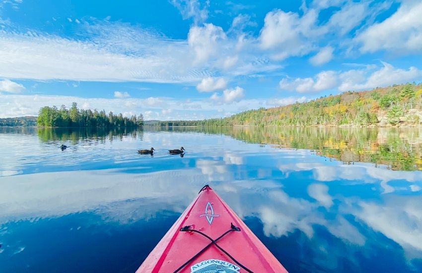 Faire du kayak au parc Algonquin en Ontario