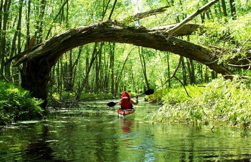 Faire du kayak sur les Îles de Sorel