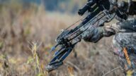 Bows & Crossbows
