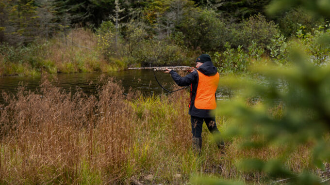 Chasseur en forêt avec son équipement de chasse au petit gibier au Québec