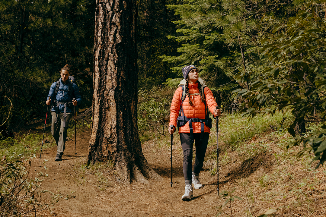 TNF ecologique
