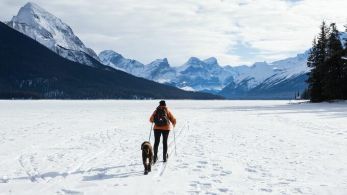 Winter Activities