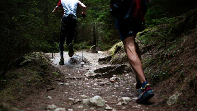 Two men running on a forest path