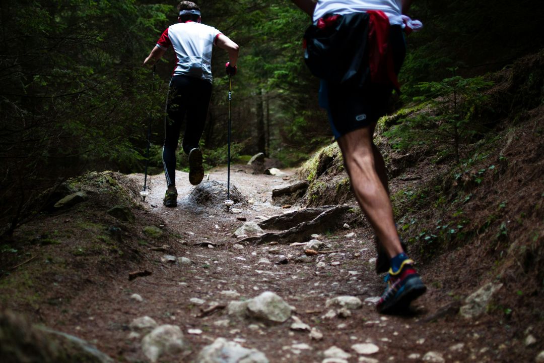 Two men running on a forest path