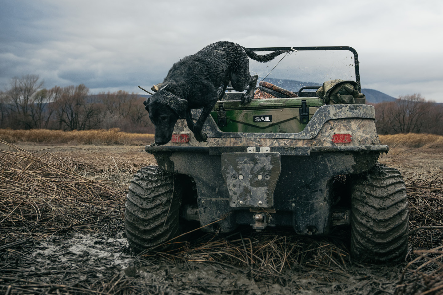 best hunting dog breeds