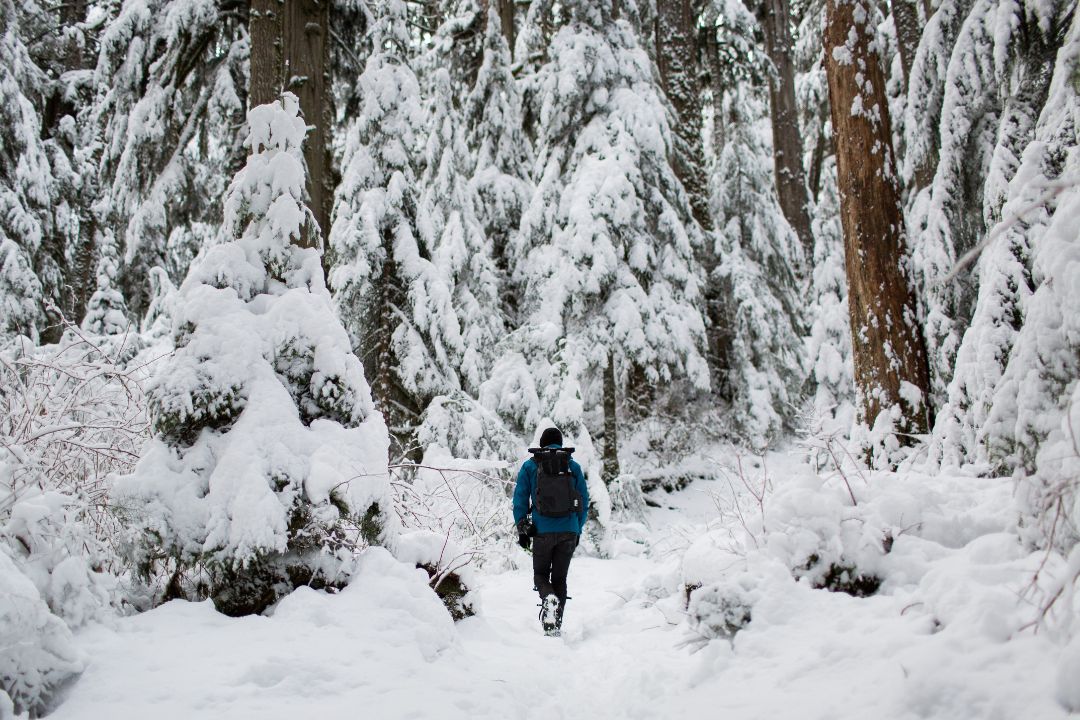 Best winter hiking boots