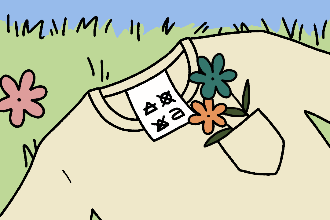 WASHING SYMBOLS AND CARE LABELS