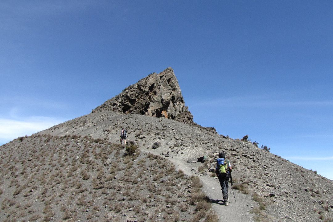 trek in Kilimanjaro