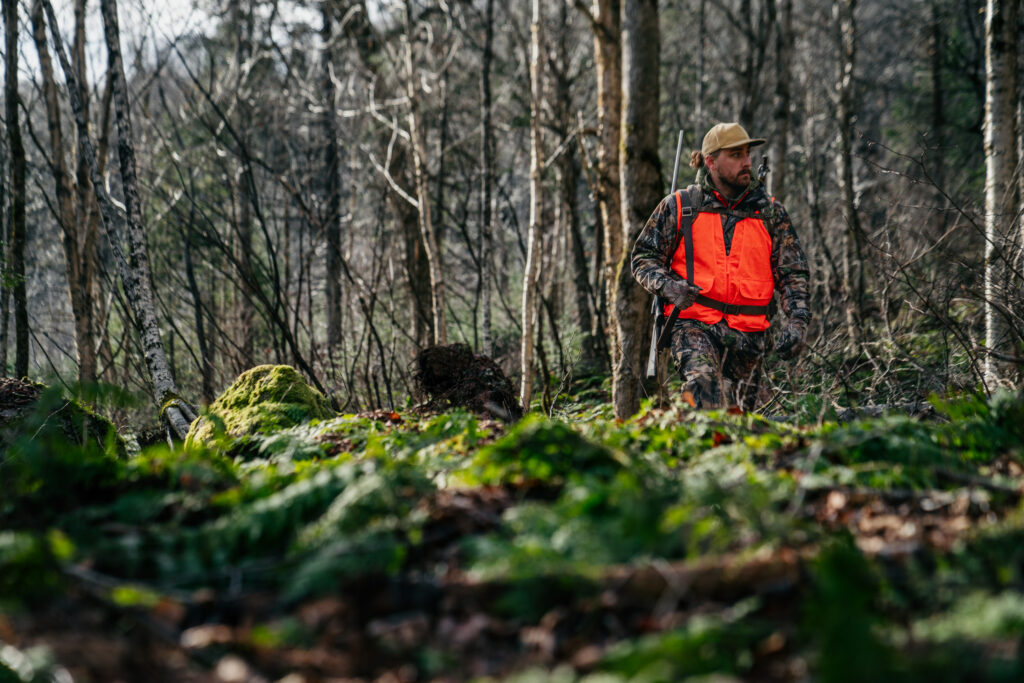 A man wearing camouflage clothing and a hunter orange vest walking through a forest during deer hunting season