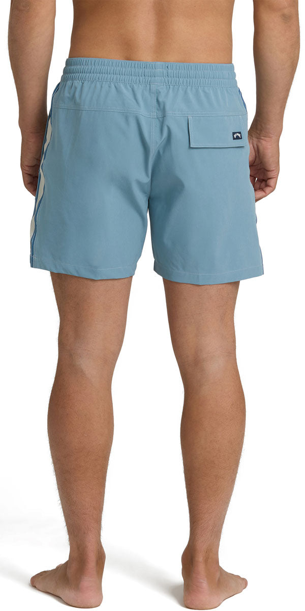 Dbah Panel Layback Boardshorts - Men's