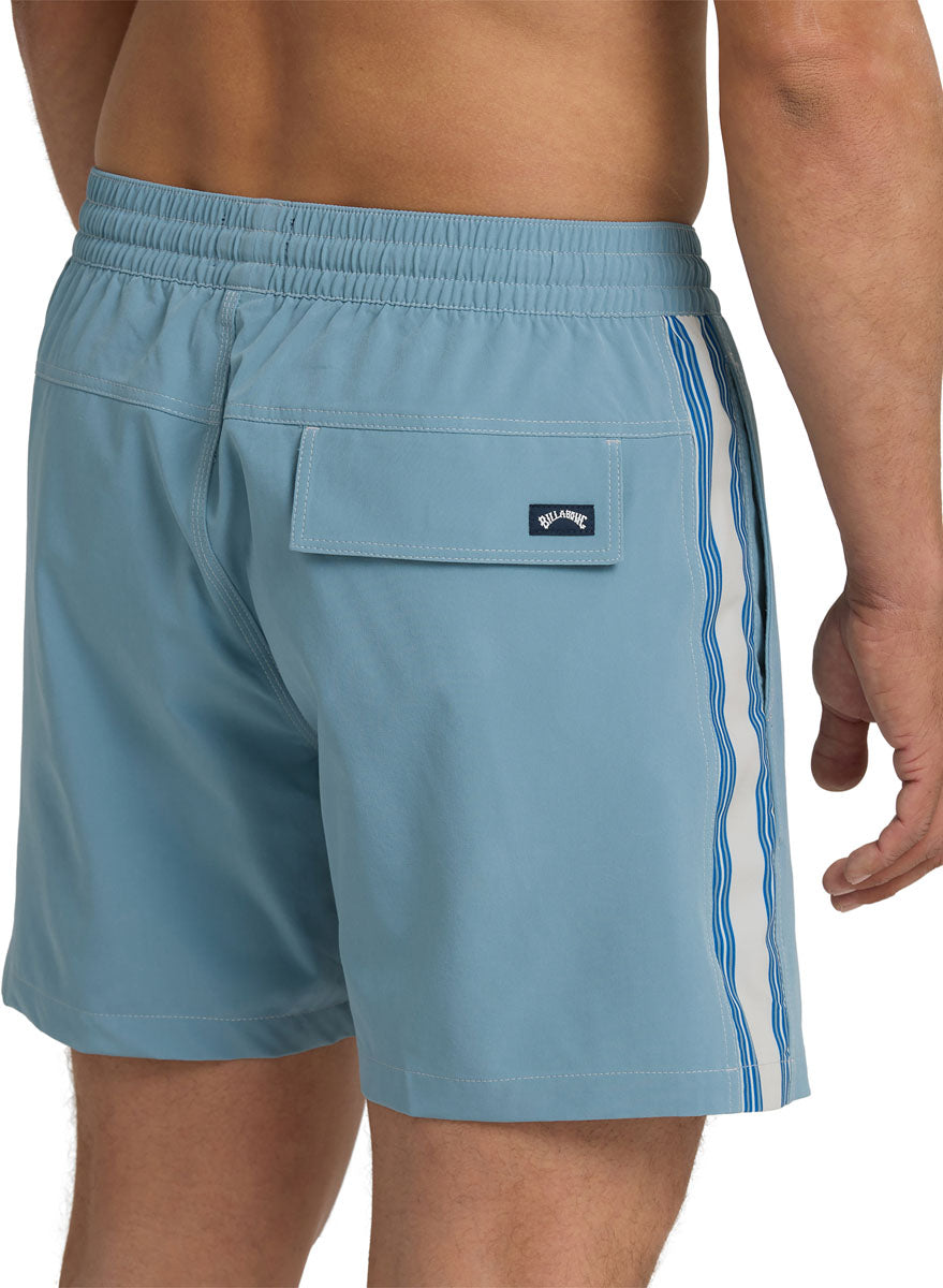 Dbah Panel Layback Boardshorts - Men's