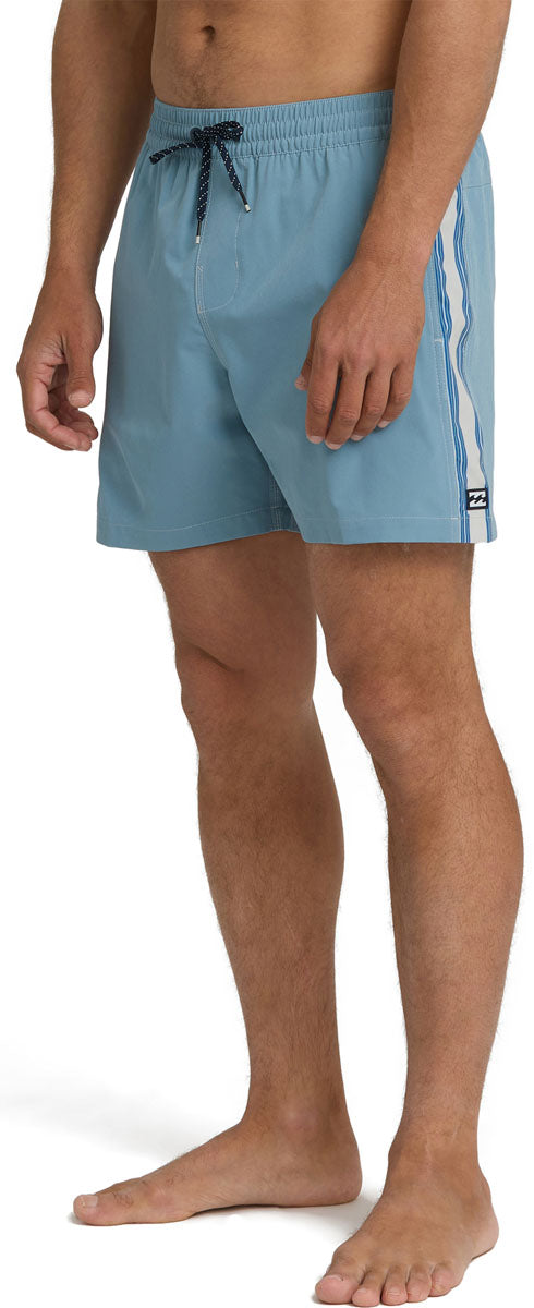 Dbah Panel Layback Boardshorts - Men's