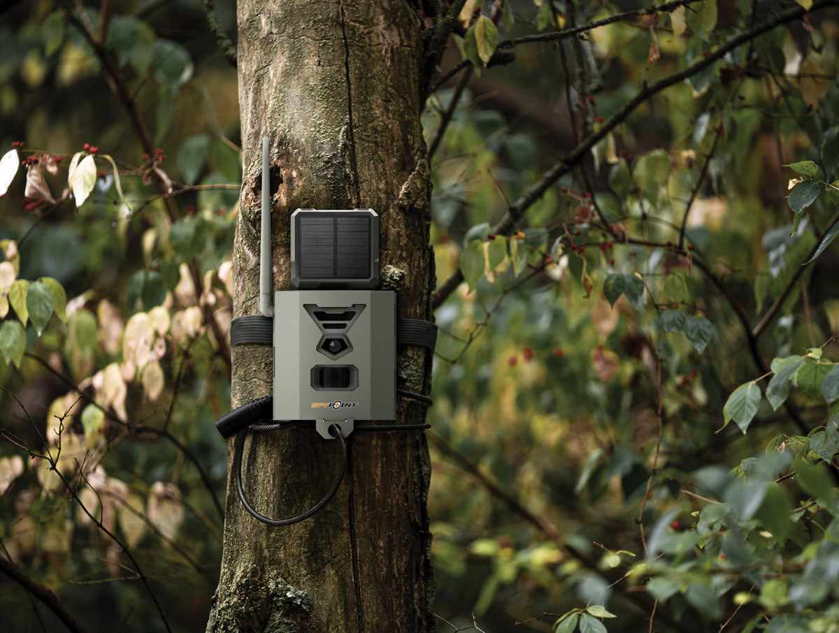 Flex G-36C Hunting Camera Bundle