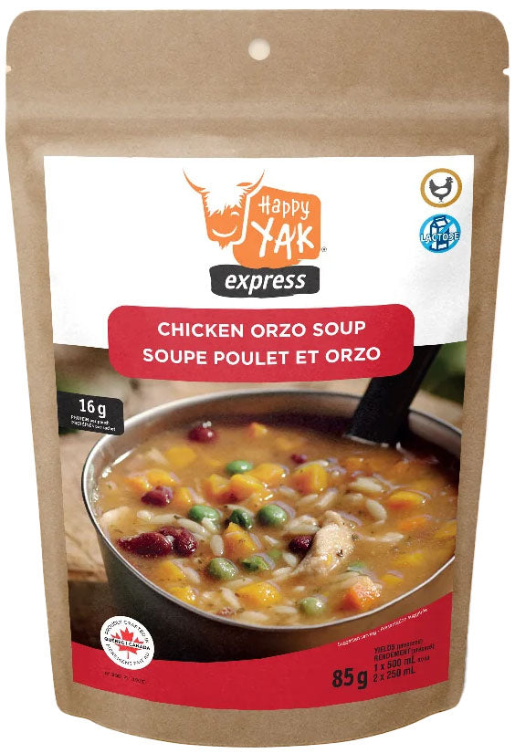 Chicken Orzo Soup