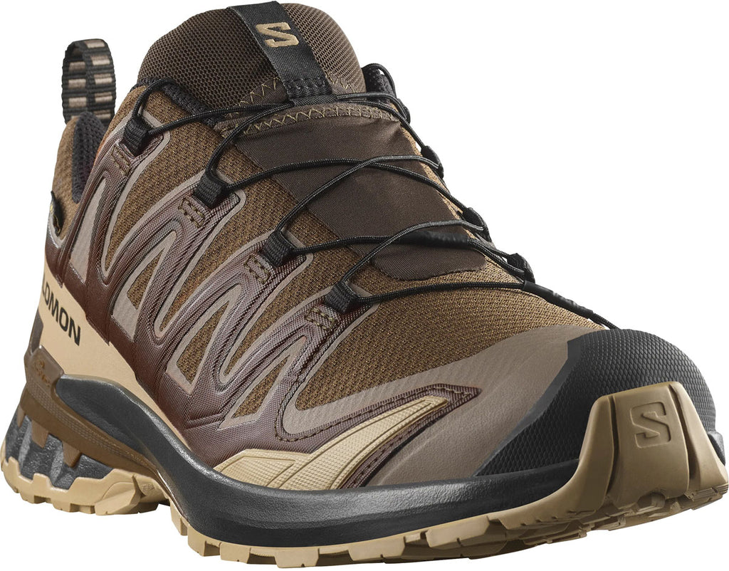XA Pro 3D V9 Gore-Tex Hiking Shoes - Men's 