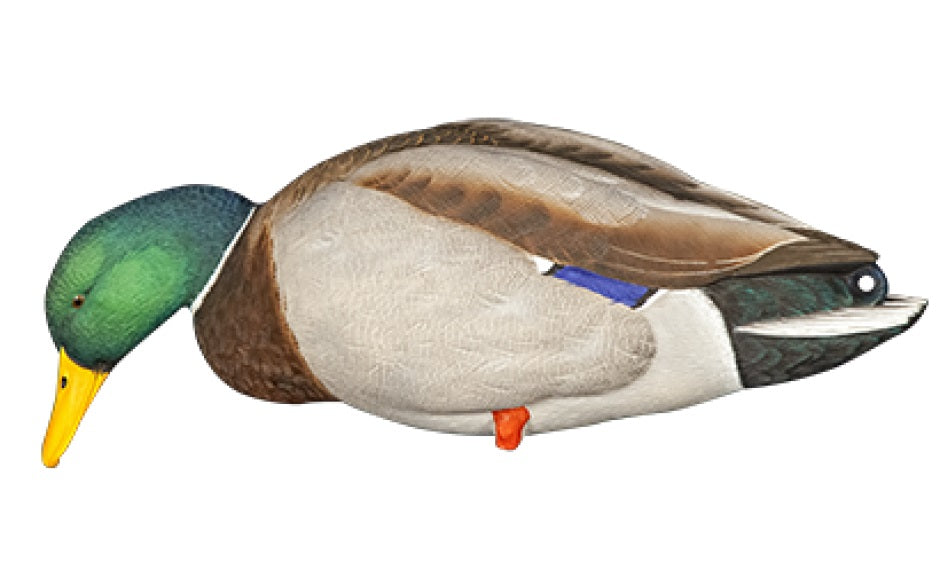 AXP Mallard Decoys With Bag - 6-Pack