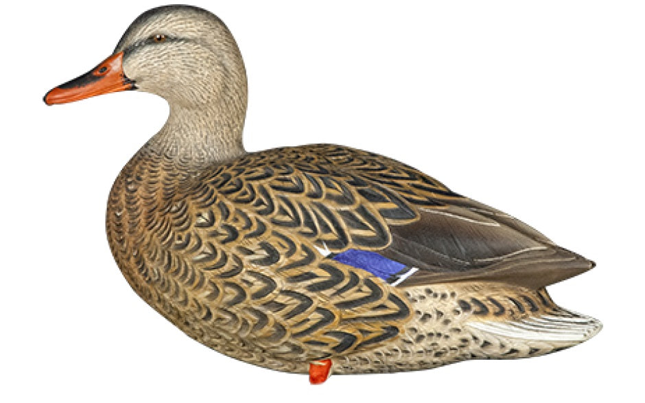 AXP Mallard Decoys With Bag - 6-Pack