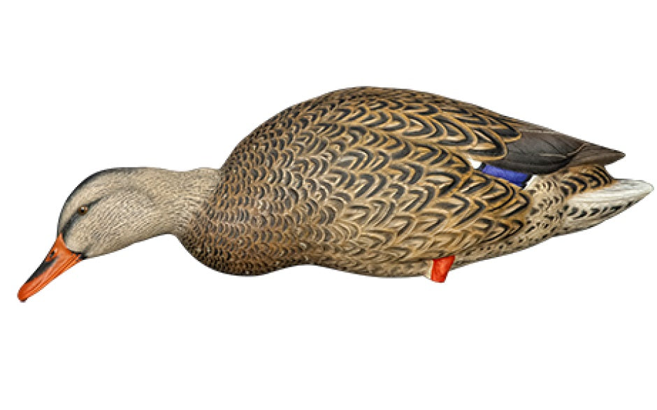 AXP Mallard Decoys With Bag - 6-Pack