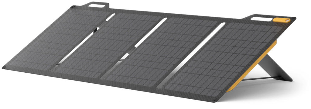 100 Solar Panel