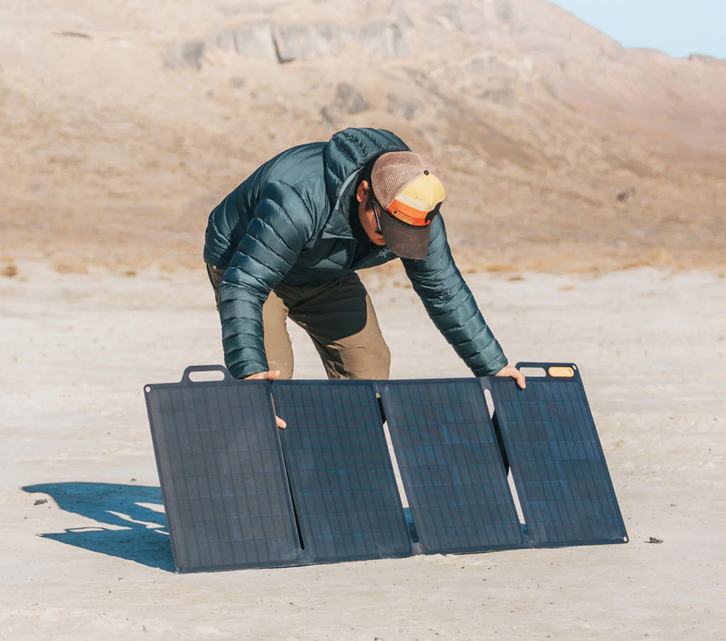 100 Solar Panel