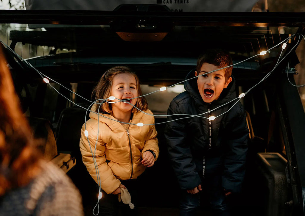 Solar String Portable String Lights - 18 ft.