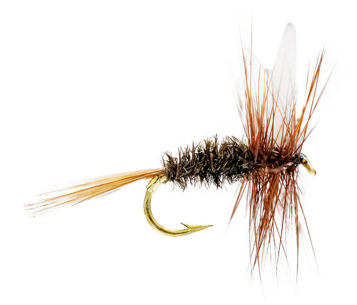 Coachman Steelhead Dry Artificial Fly