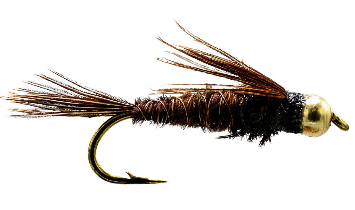 Pheasant Tail Bead Head Steelhead Nymph