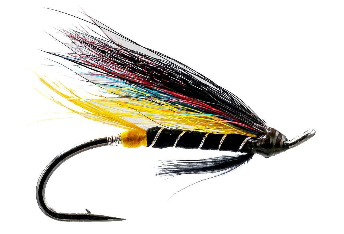 Black Dose Salmon Fly 