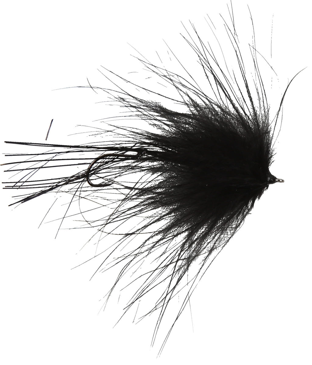 Intruder Leech Fly